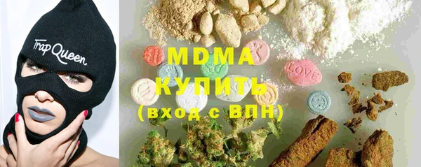 ГАЛЛЮЦИНОГЕННЫЕ ГРИБЫ Козловка
