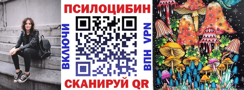 Псилоцибиновые грибы GOLDEN TEACHER  Купить закладки  Уржум 